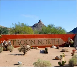 Metal painting in Troon North, Scottsdale, AZ
