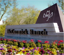 Metal painting in McCormick Ranch, Scottsdale, AZ